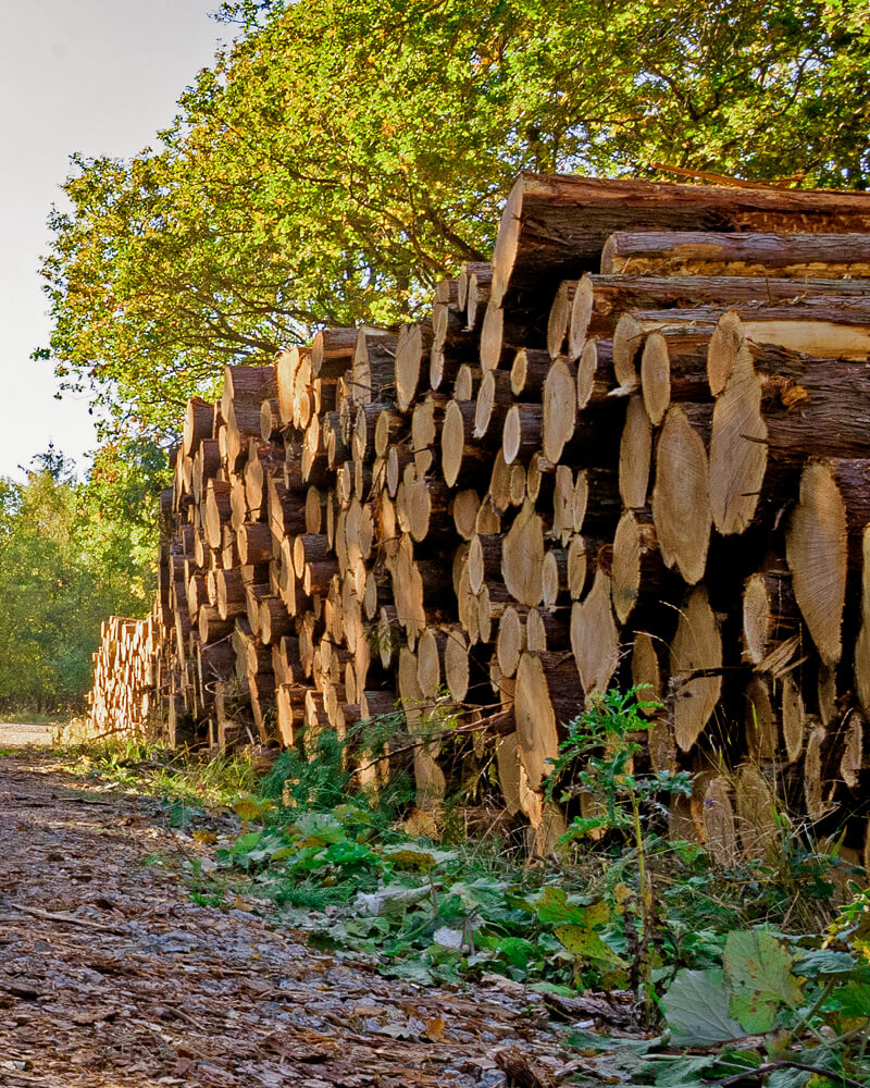 Holzhandel