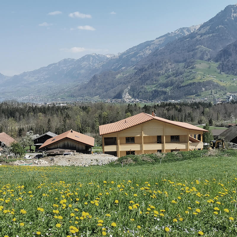 Holzschläge für Mehrfamilienhaus