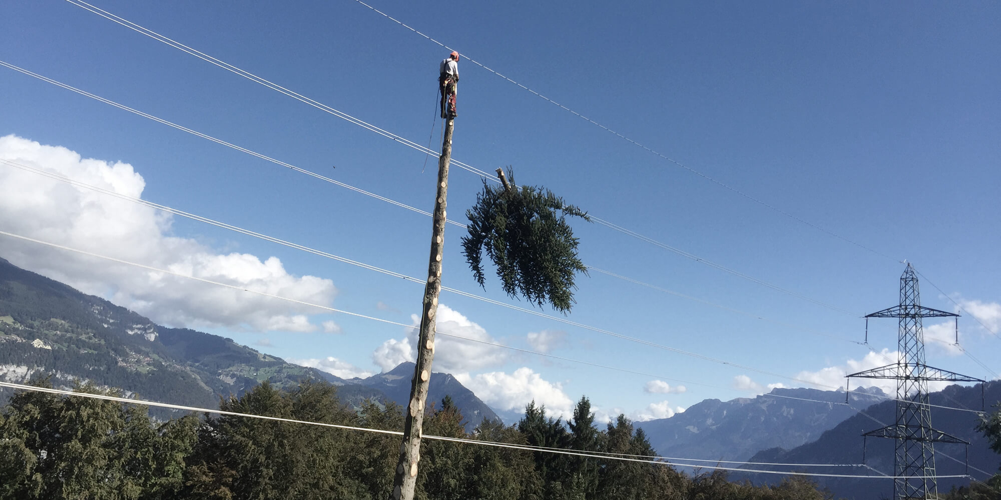 Echtes schweizer Qualitätshandwerk 