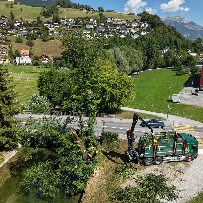 Spezialholzerei Hochwasserschutzprojekt Sarnen