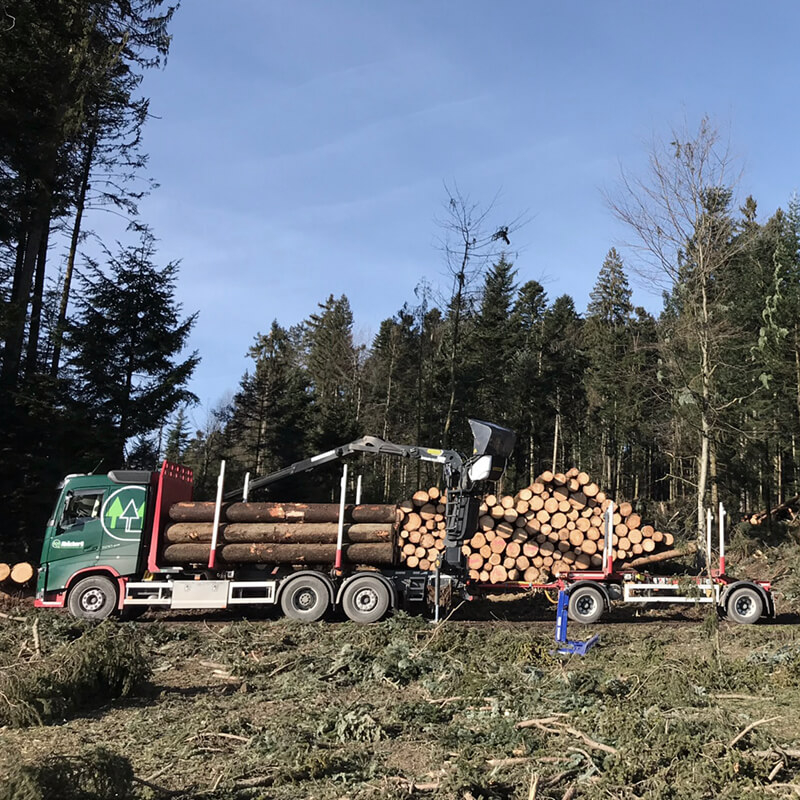 Abaecherli-Holztransport-02