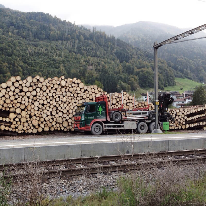 Abaecherli-Holztransport-03