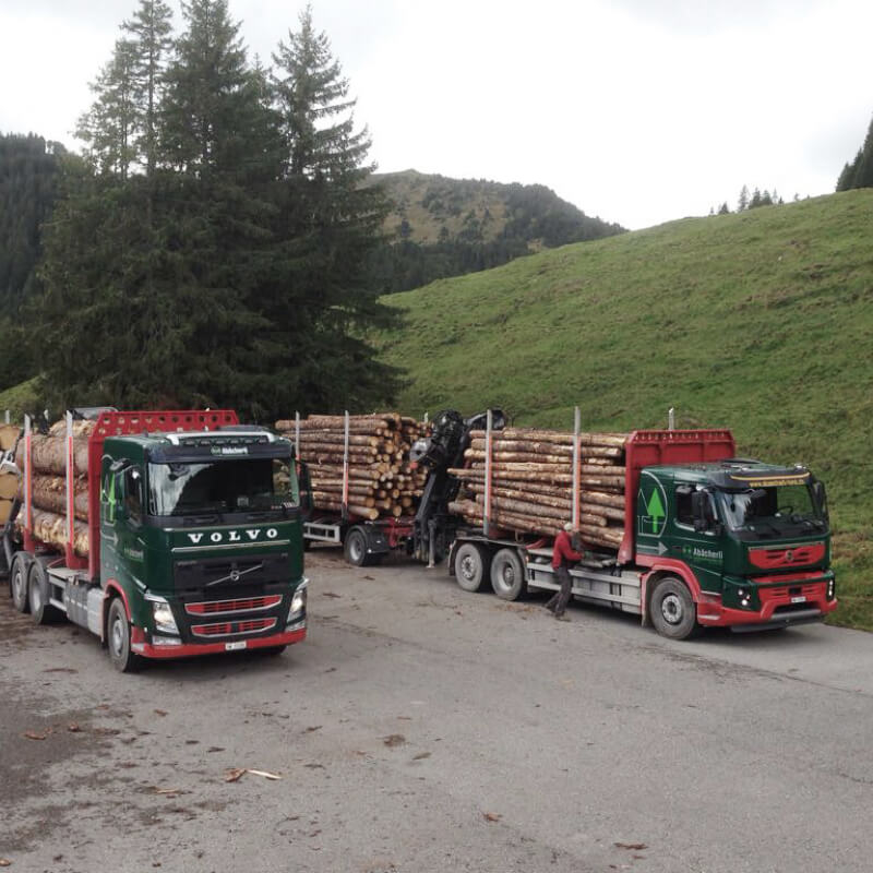 Abaecherli-Holztransport-04