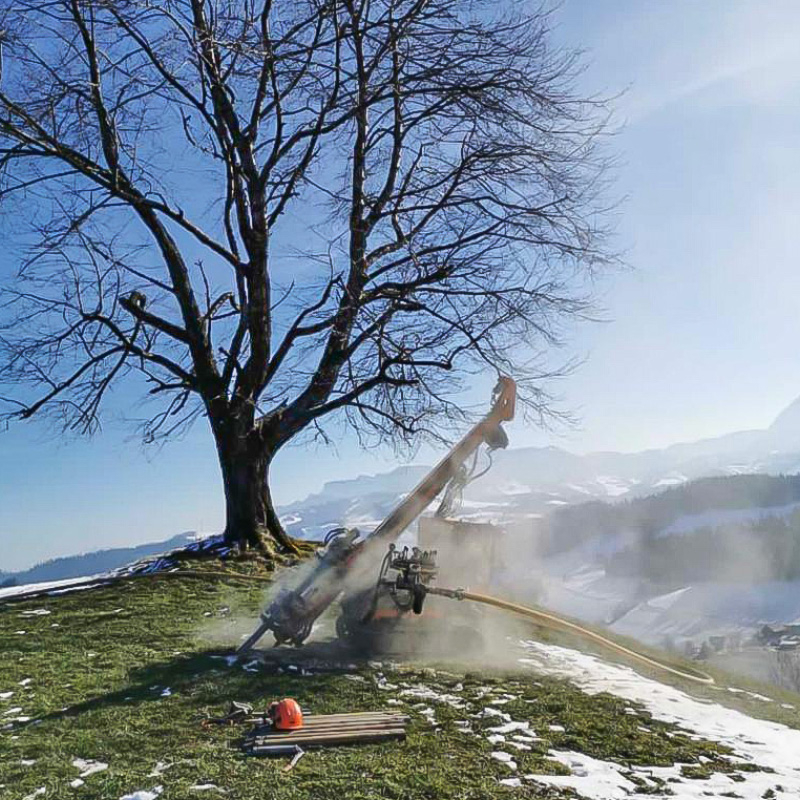 Abaecherli-Projekt-Harzerwald-05