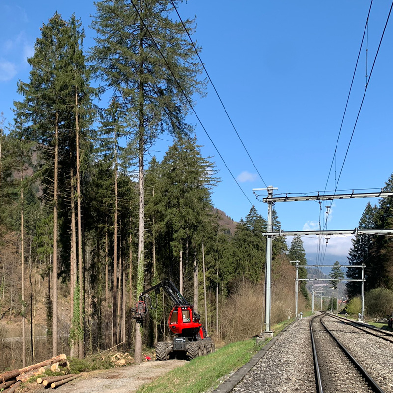 Abaecherli-Projekte-Gsteigwiler-01