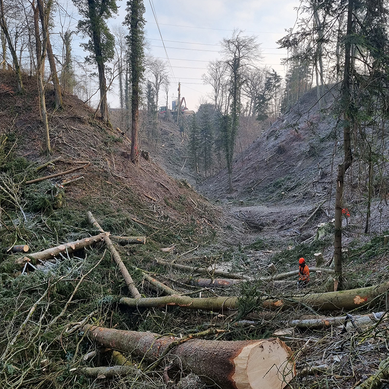 Abaecherli-Projekte-Holzschlag-Boettstein-02