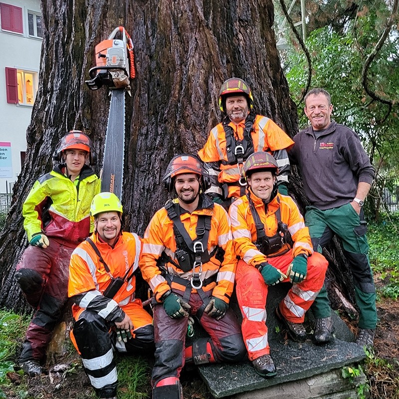 Abaecherli-Projekte-Mammutbaum-Sarnen-05