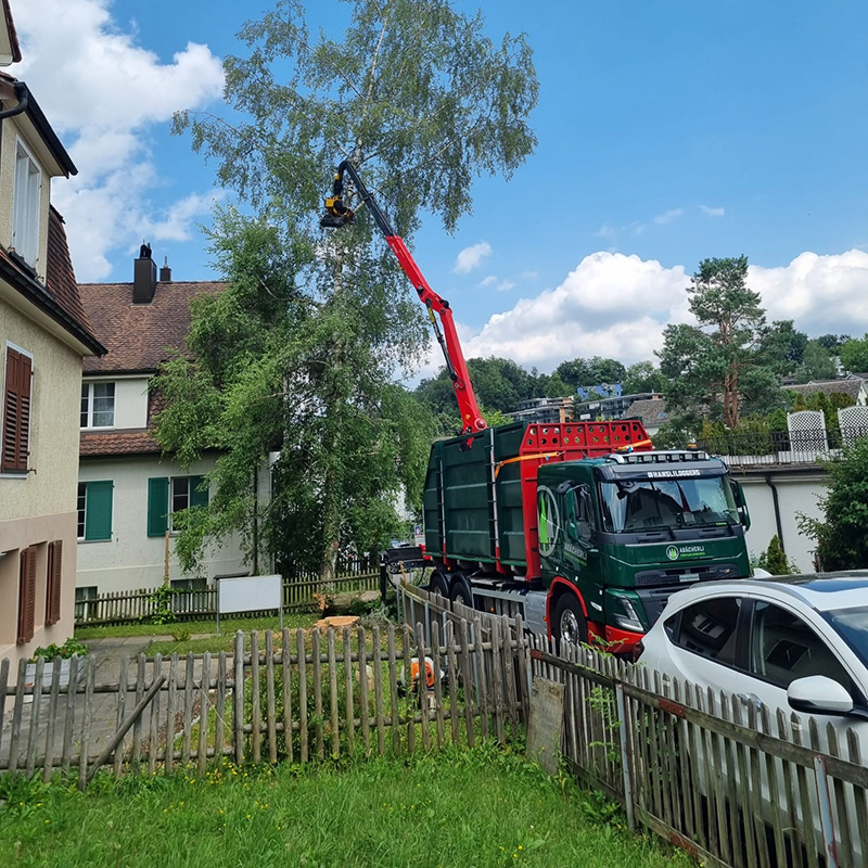 Abaecherli-Projekte-Neuer-LKW-Volvo-FMX-540-04